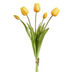 Options – Yellow