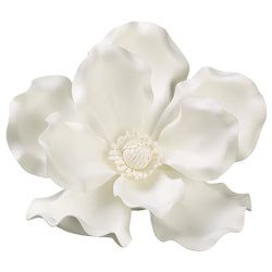 Cream/White