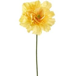 Options – Yellow
