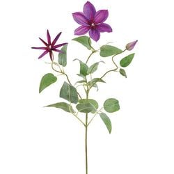 Dark Purple