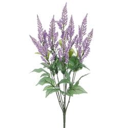 Options – Purple