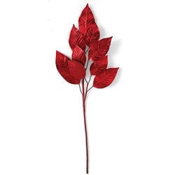 Options – Red