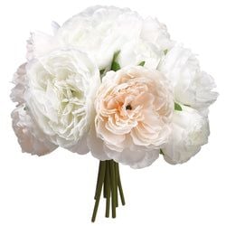 Options – Cream/Blush