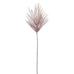 Options – Lilac