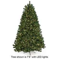 5' LED Lights