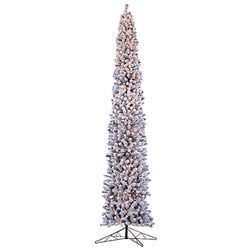 12' Lighted