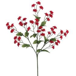 Options – Red