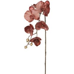 Options – Mauve