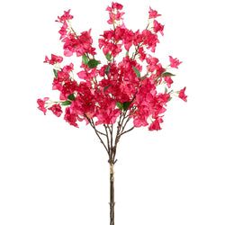 Cerise