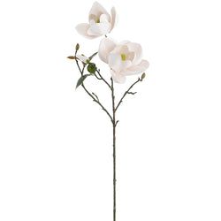 Options – White/Pink