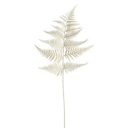 Options – Beige