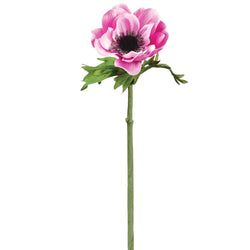 Options – Fuchsia