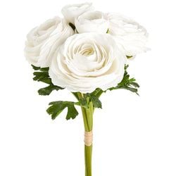 Options – White
