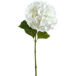 Options – White