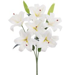 Options – White
