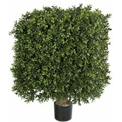 25"