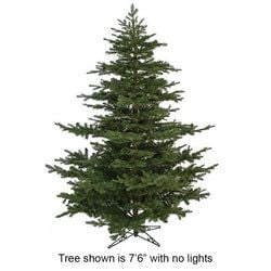 7'6" LED Lights