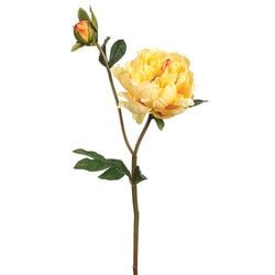 Light Yellow