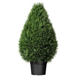 36" Unlit