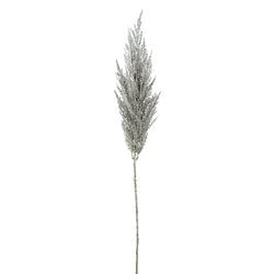Options – Silver