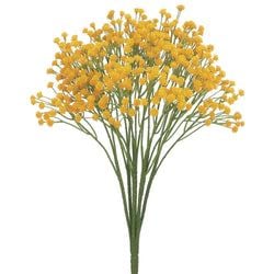 Options – Yellow