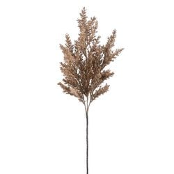 Options – Beige