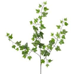 Variegated