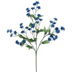 Options – Royal Blue