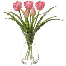 Options – Pink