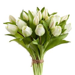 White/Green