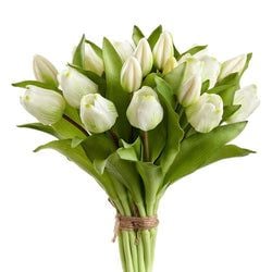 Options – White/Green