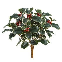 Variegated/Red