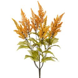 Orange/Yellow