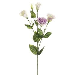 2 Tone Lavender