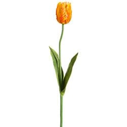 Orange/Yellow