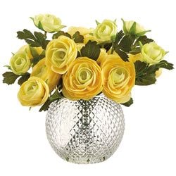 Options – Yellow