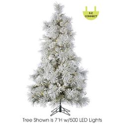9' LED Lights