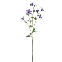 Options – Purple
