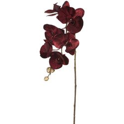 Options – Burgundy