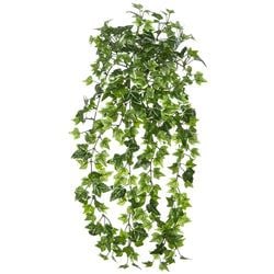 Green/Variegated