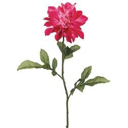2 Tone Cerise
