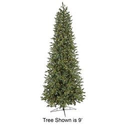 Options – 5' LED