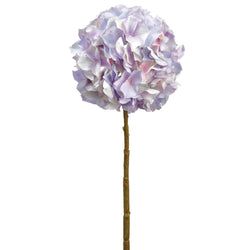 Options – Lavender/Cream