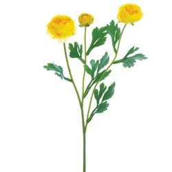 Options – Yellow