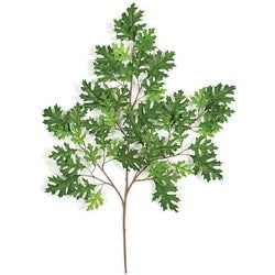 Green - Fire Rated