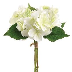 Cream/Green