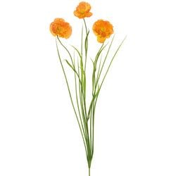 Options – Orange