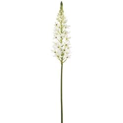 White/Green