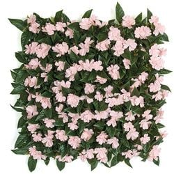 Pink/Green