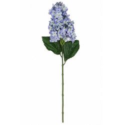 Blue/Violet